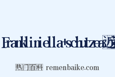 Frankliniella+schutzea近义词是什么意思的图片